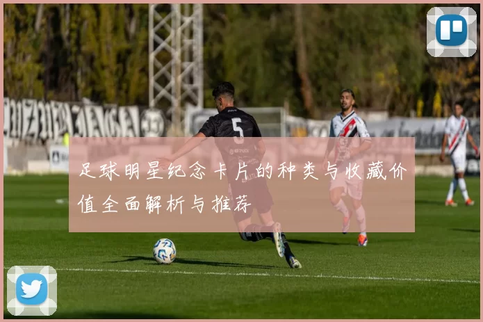 足球明星纪念卡片的种类与收藏价值全面解析与推荐